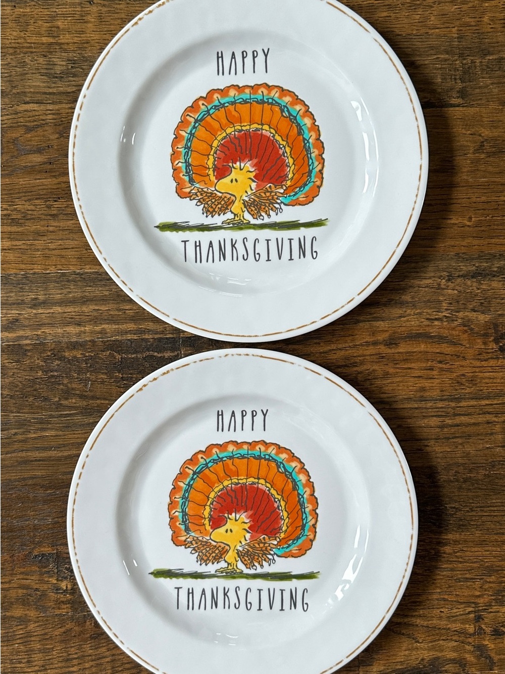 Pottery Barn Kids 11” Thanksgiving Plate Melamine Peanuts Woodstock Snoopy LOT 2